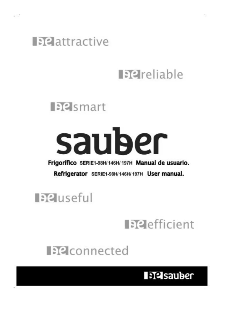 Page 1 de la notice Manuel utilisateur Sauber SERIE 1-197H