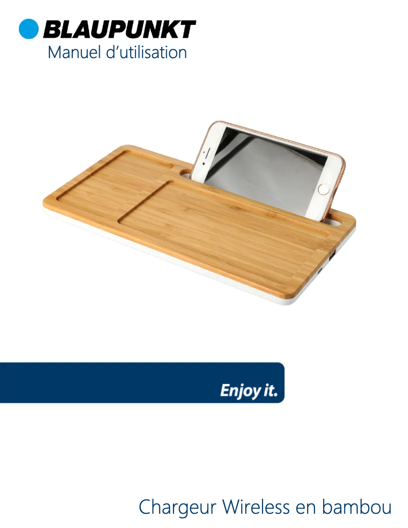 Page 1 de la notice Manuel utilisateur Blaupunkt BLP7670