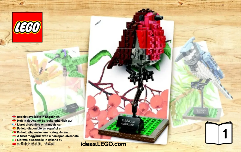 Page n°1 - Manuel utilisateur Lego 21301