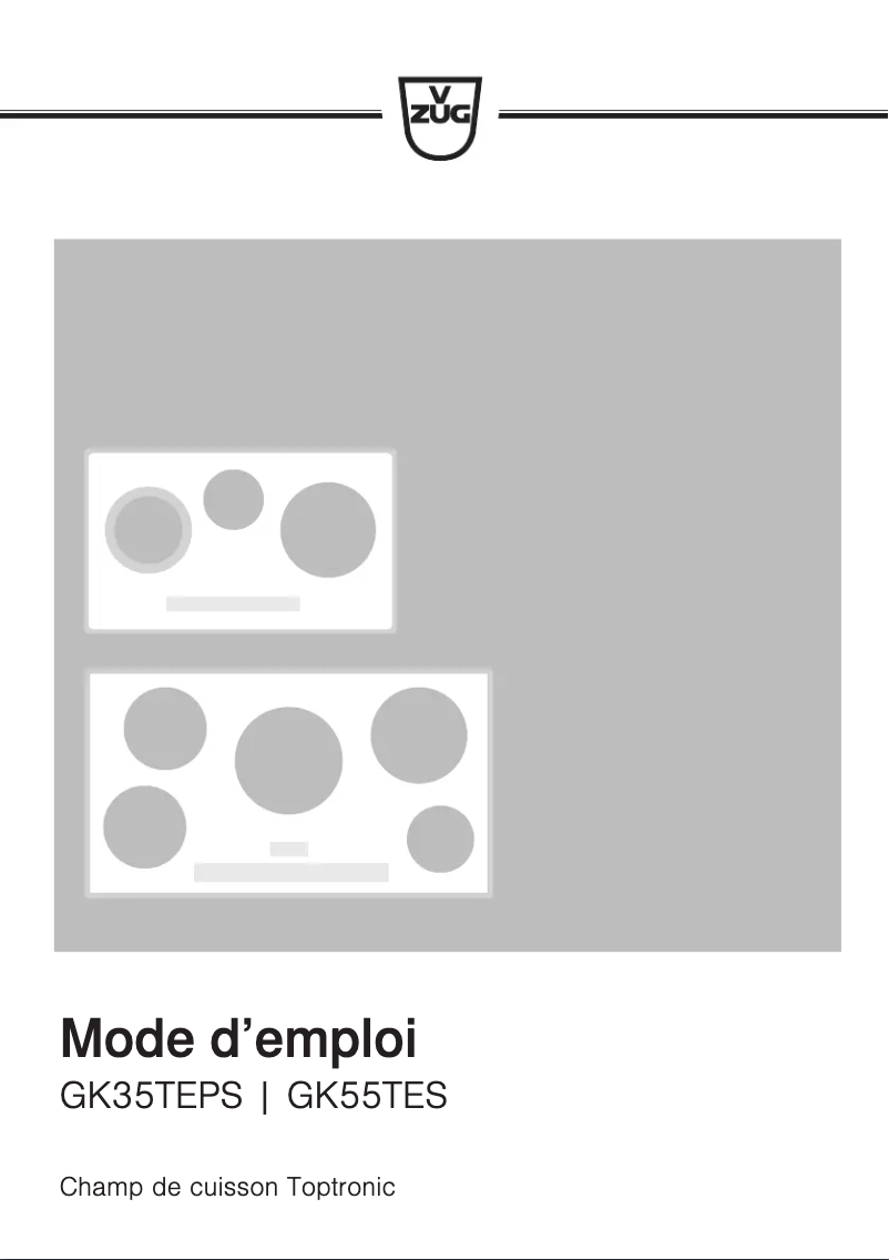 Image de la première page du manuel de l'appareil GK55TESF