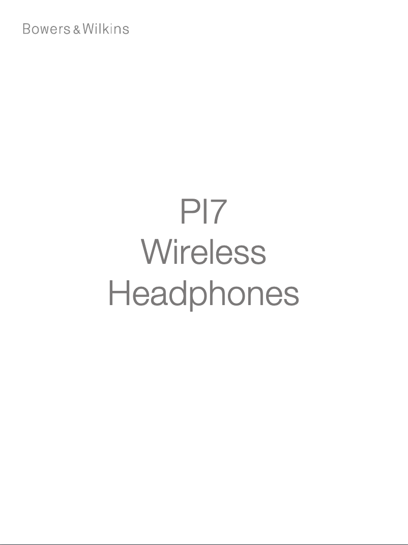 Imagen de la primera página del manual del dispositivo P17