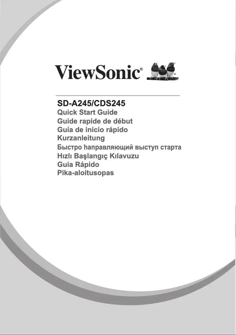 Page 1 de la notice Manuel utilisateur Viewsonic SD-A245