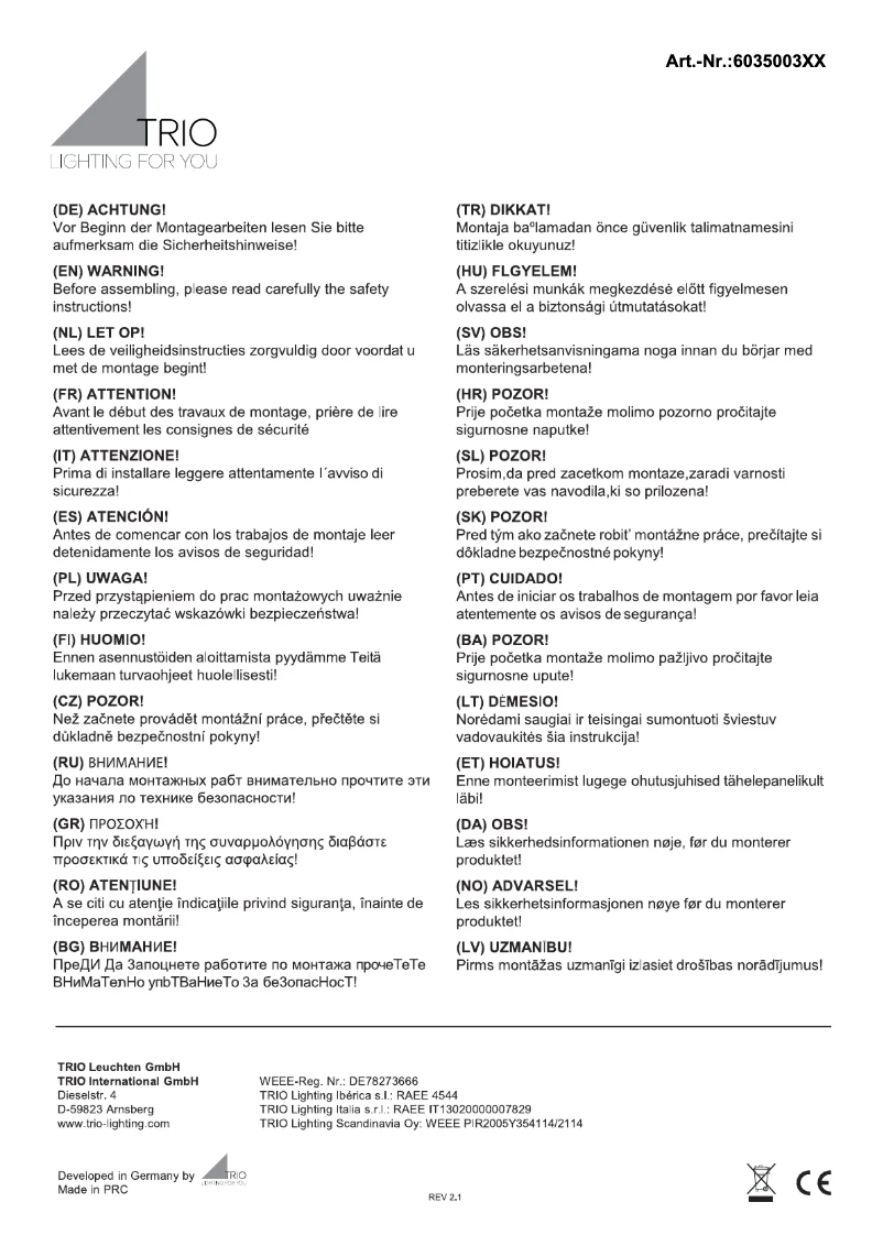 Page n°1 - Manuel utilisateur Trio Lighting Zandor 603500331