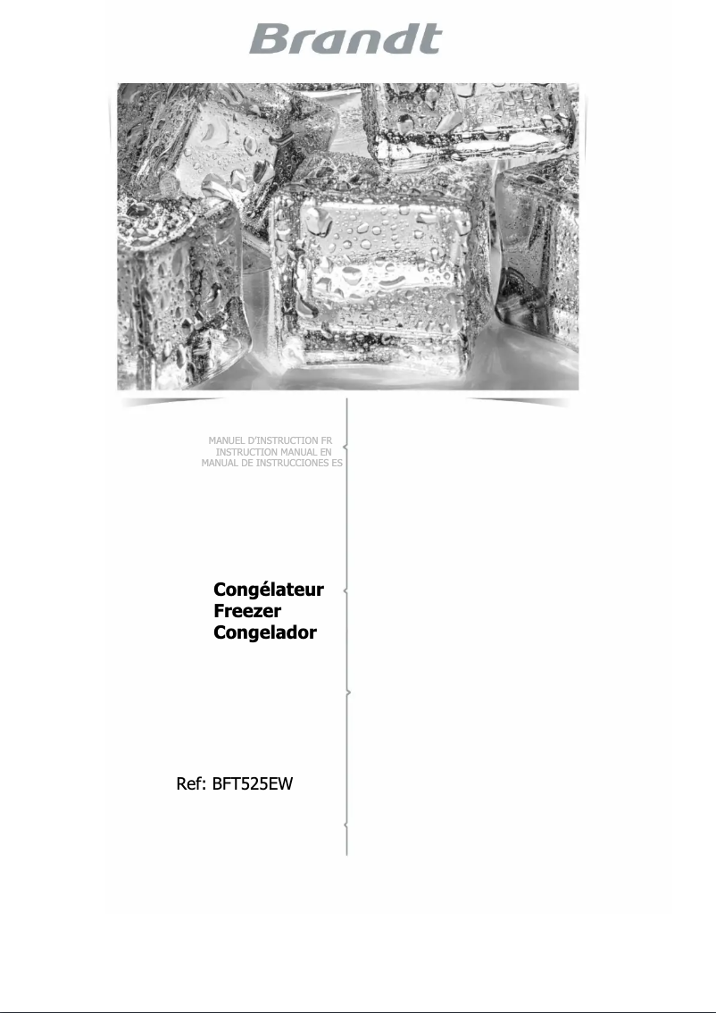 Page n°1 - Manuel utilisateur Brandt BFT525EW