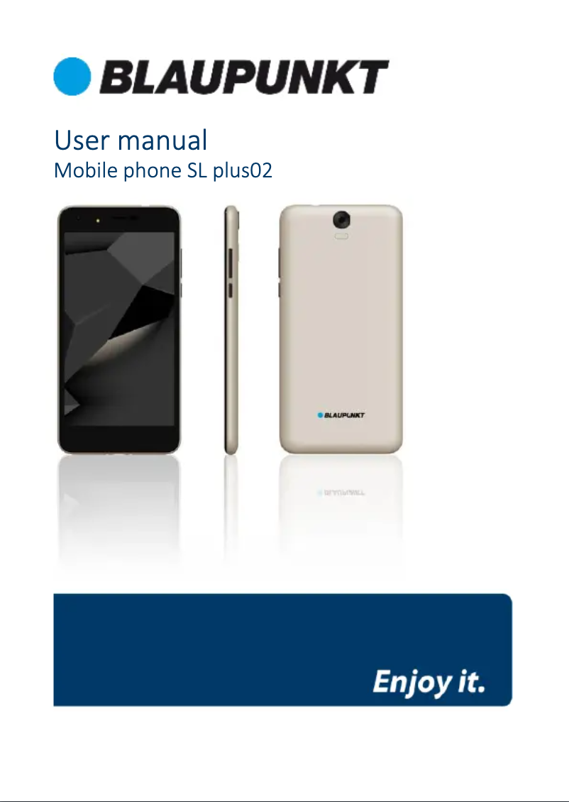Page 1 de la notice Manuel utilisateur Blaupunkt SL plus 02