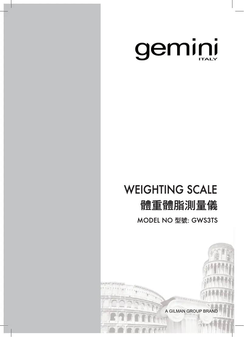 Image de la première page du manuel de l'appareil GWS3TS