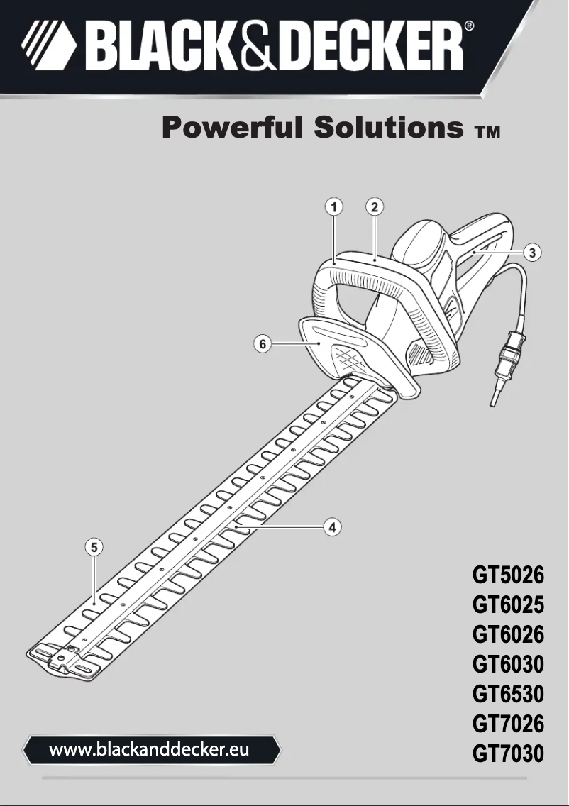 Image de la première page du manuel de l'appareil GT6025