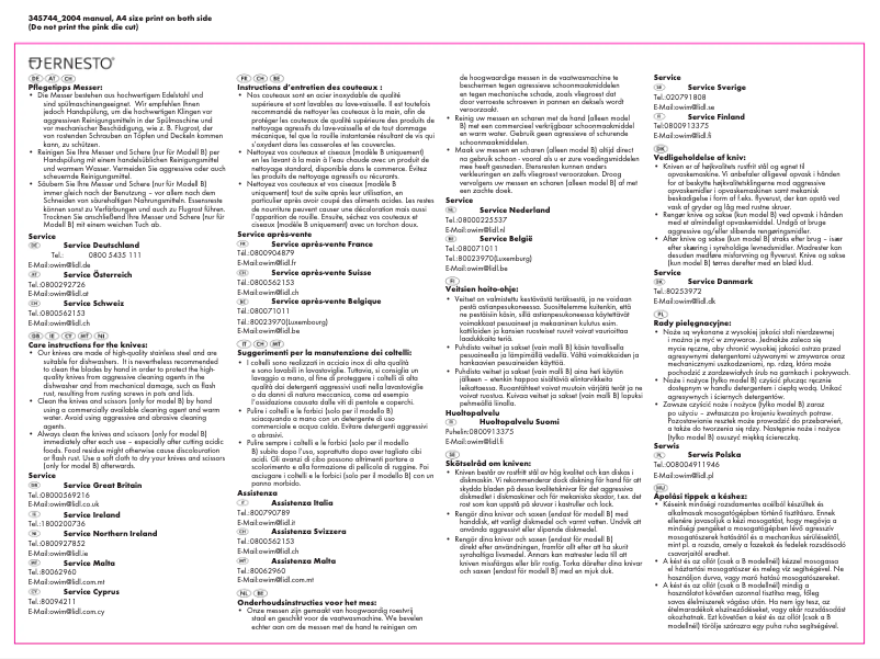 Page n°1 - Manuel utilisateur Ernesto IAN 345744