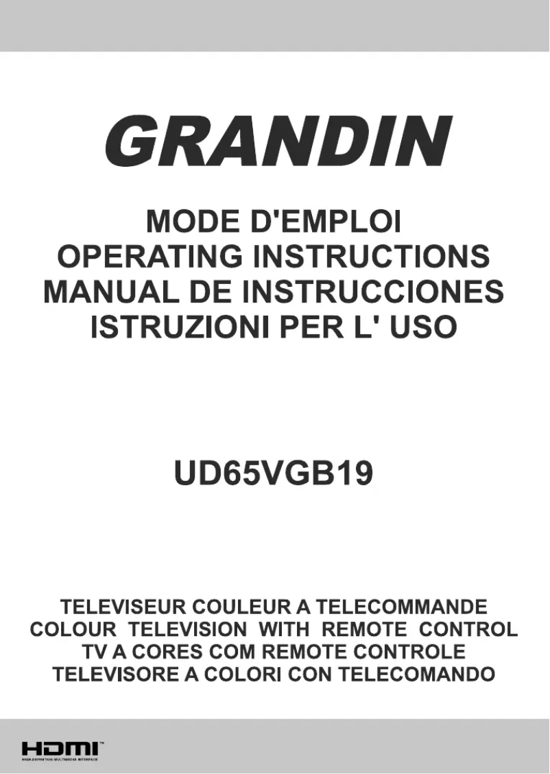 Page 1 de la notice Manuel utilisateur Grandin UD65VGB19