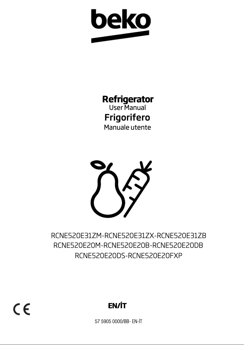 Image de la première page du manuel de l'appareil RCNE520E20M