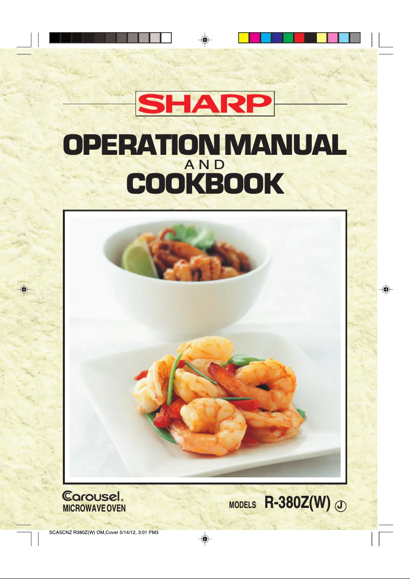 Image de la première page du manuel de l'appareil R-380Z