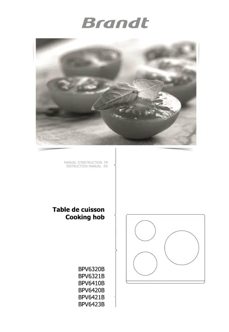 Image de la première page du manuel de l'appareil BPV6423B