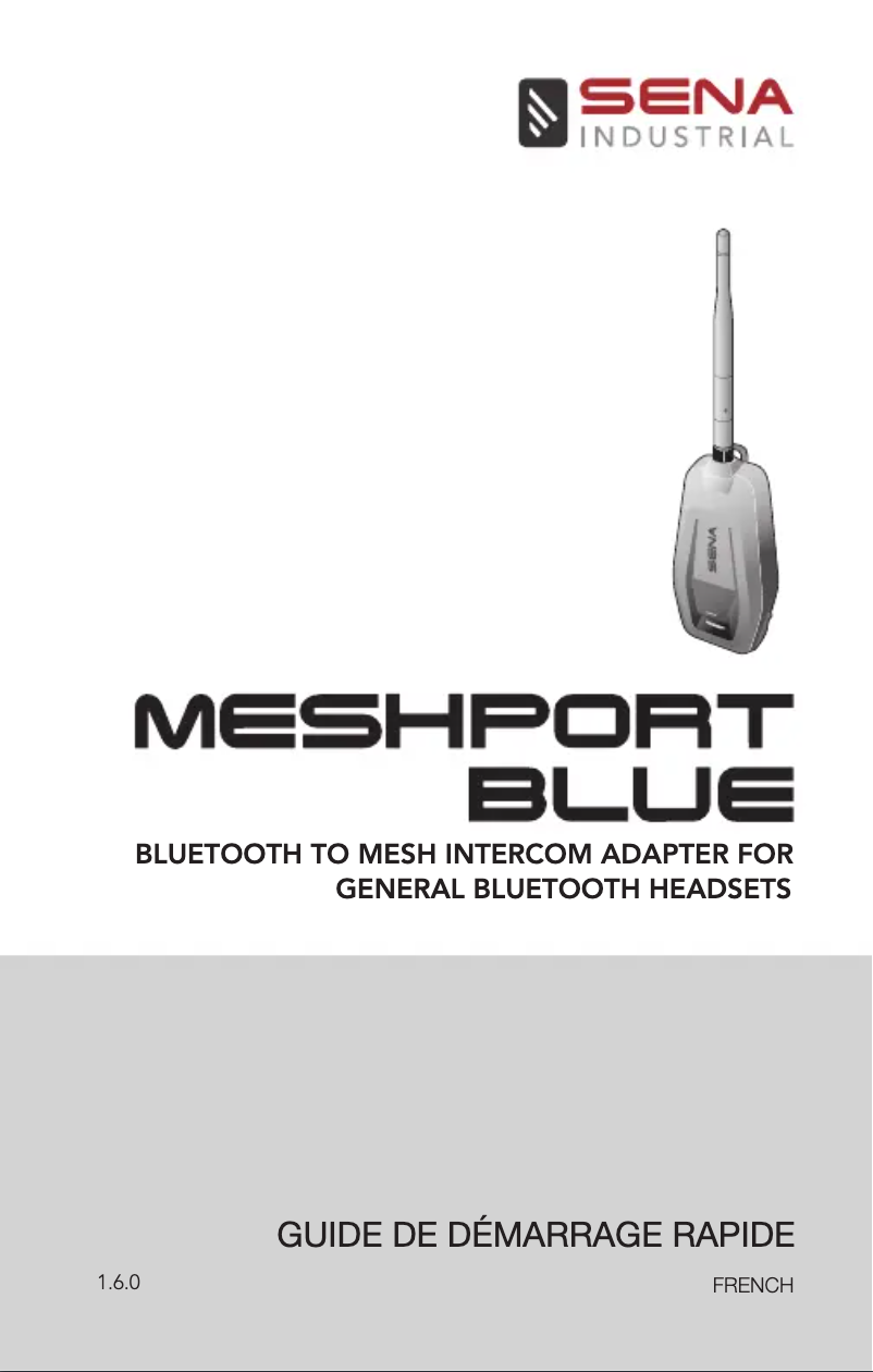 Image de la première page du manuel de l'appareil MeshPort Blue