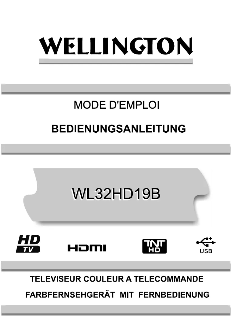 Página 1 del manual Manual de usuario Wellington WL32HD19B