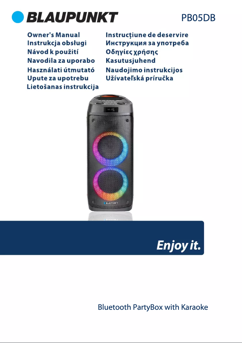 Page 1 de la notice Manuel utilisateur Blaupunkt PB05DB