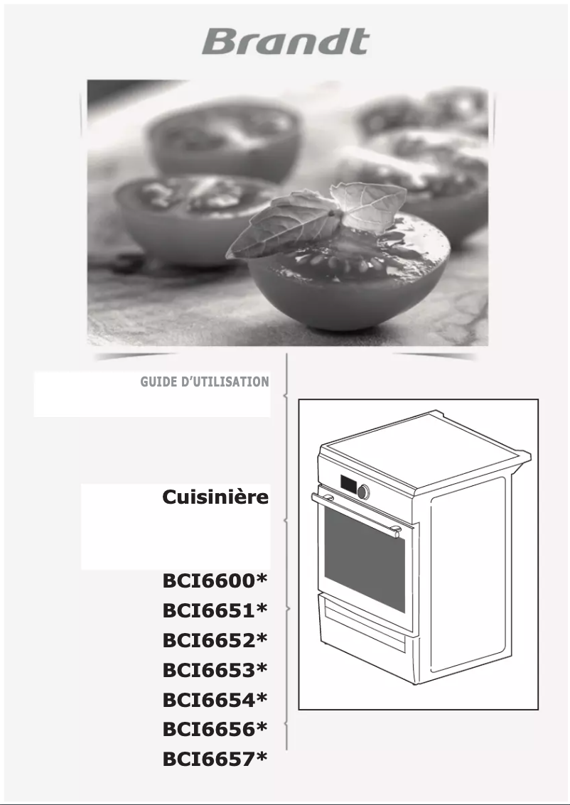 Page 1 de la notice Manuel utilisateur Brandt BCI6656A