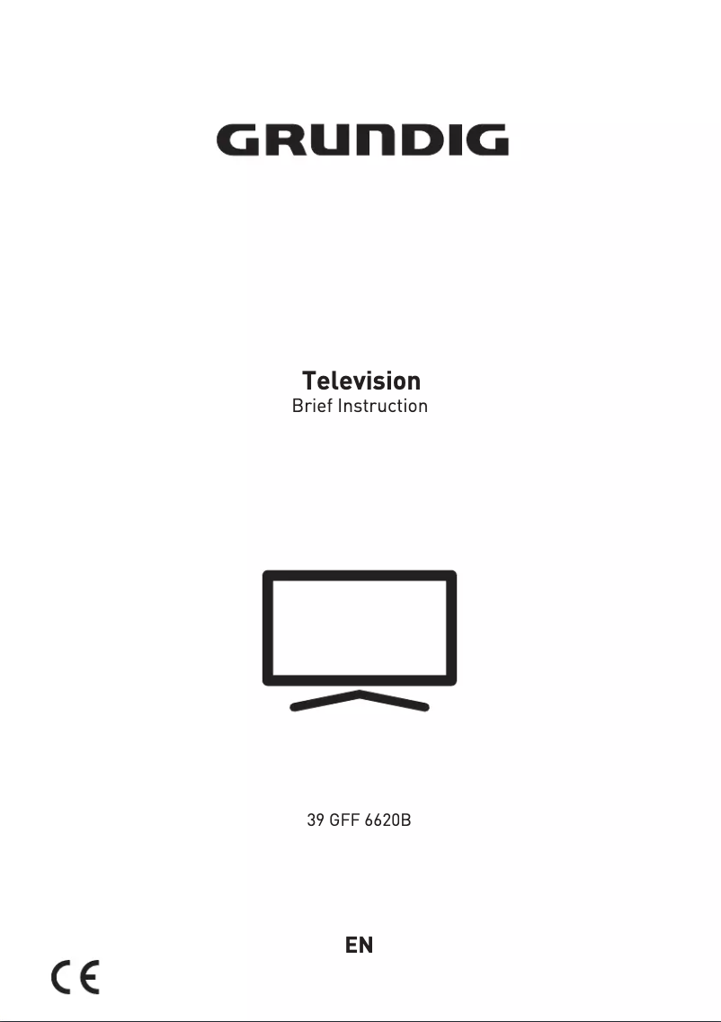 Page 1 de la notice Manuel utilisateur Grundig 39 GFF 6620B