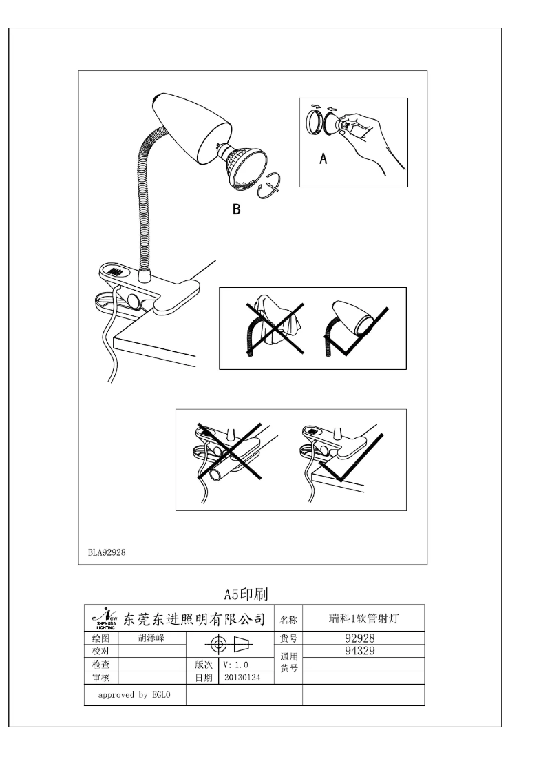 Image de la première page du manuel de l'appareil Riccio 1