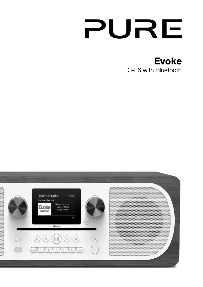 Page n°1 - Manuel utilisateur Pure Evoke C-F6