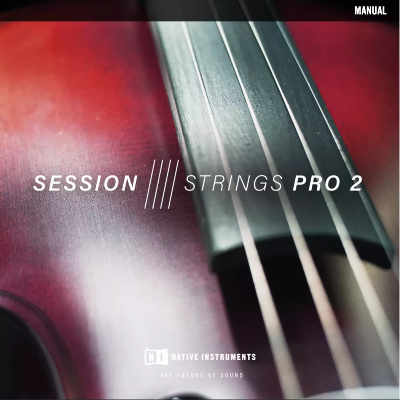Image de la première page du manuel de l'appareil Session Strings Pro 2