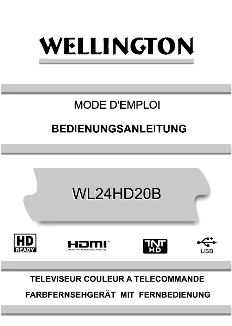 Page 1 de la notice Manuel utilisateur Wellington WL24HD20B
