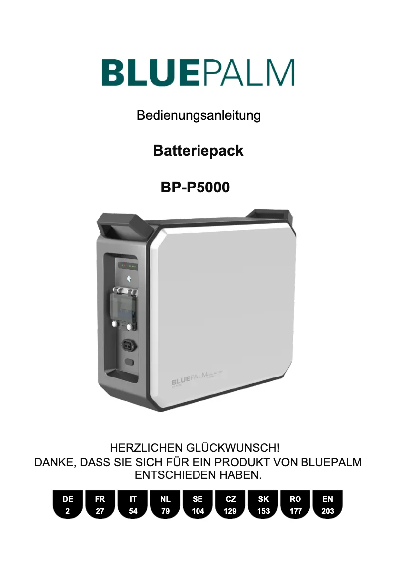 Página 1 del manual Manual de usuario BLUEPALM BP-P5000