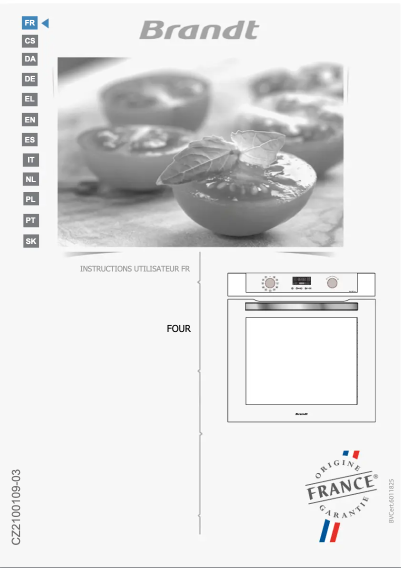 Page n°1 - Manuel utilisateur Brandt BOP2438BB