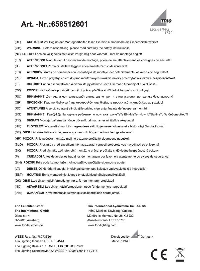 Page 1 de la notice Manuel utilisateur Trio Lighting Concorde 658512601