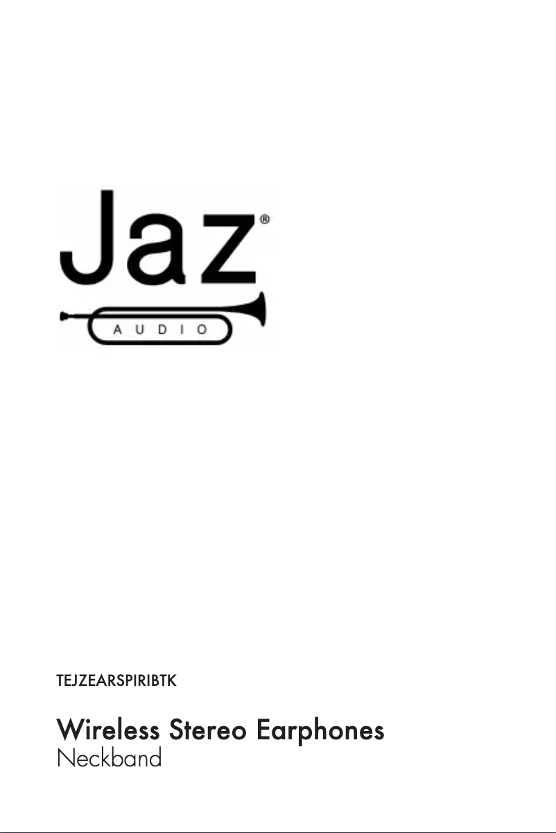 Page n°1 - Manuel utilisateur JAZ Audio Spiritual