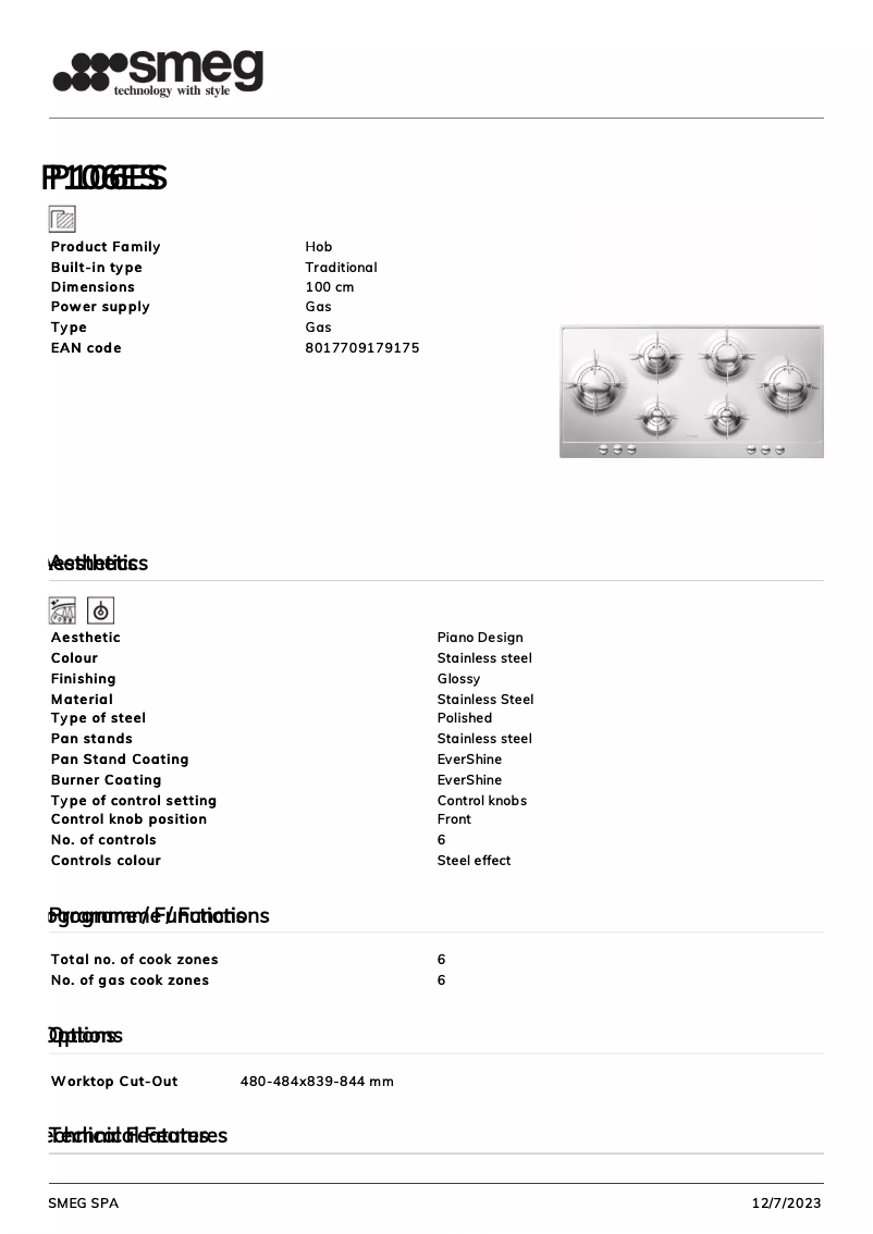 Image de la première page du manuel de l'appareil P106ES