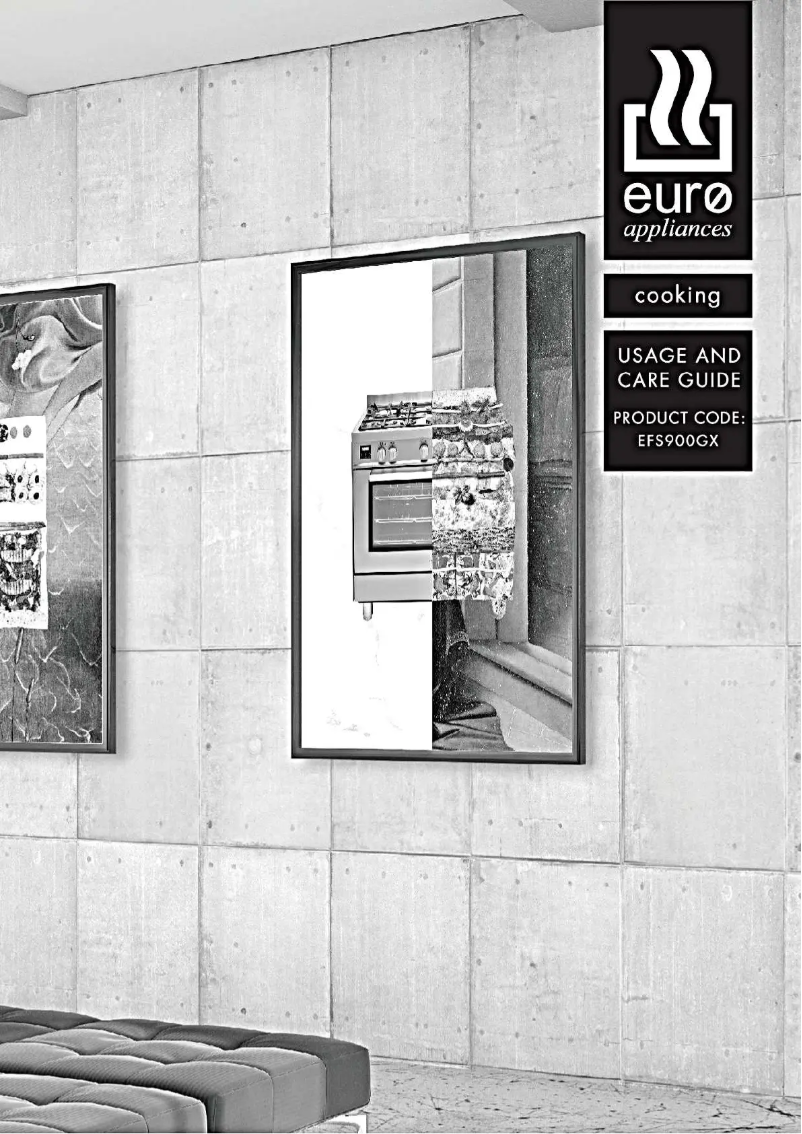 Page 1 de la notice Manuel utilisateur Euro Appliances EFS900GX