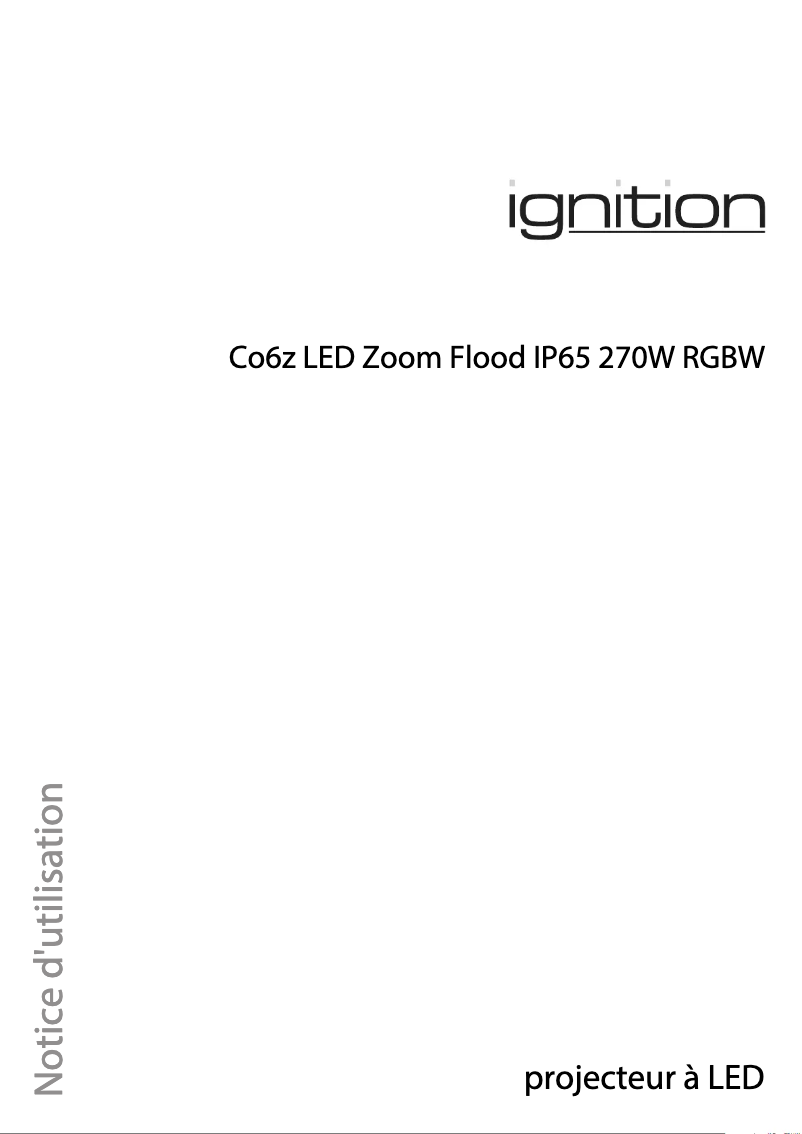 Image de la première page du manuel de l'appareil Co6z LED Flood