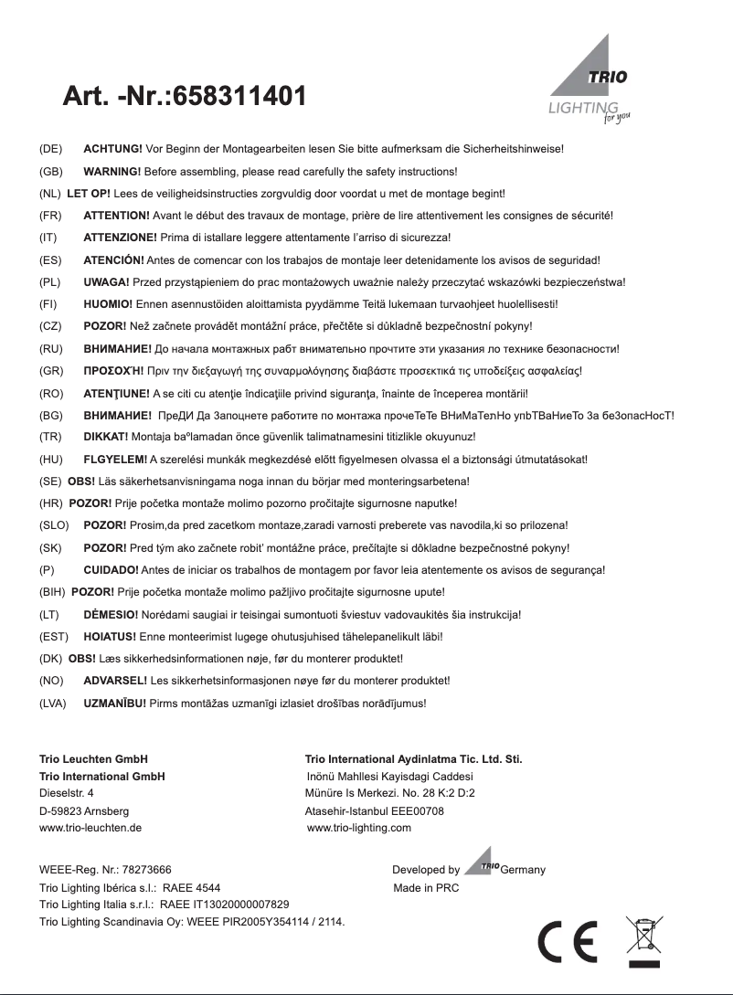 Page 1 de la notice Manuel utilisateur Trio Lighting Converter 658311401