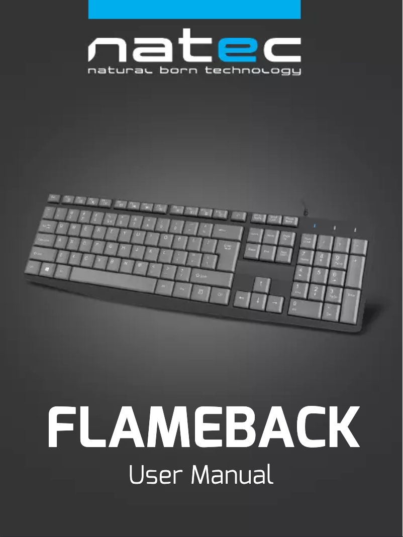 Image de la première page du manuel de l'appareil Flameback