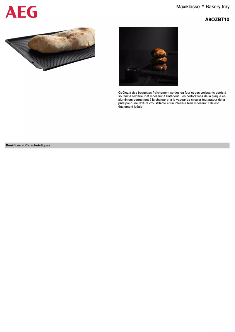 Page 1 de la notice Fiche technique AEG A9OZBT10