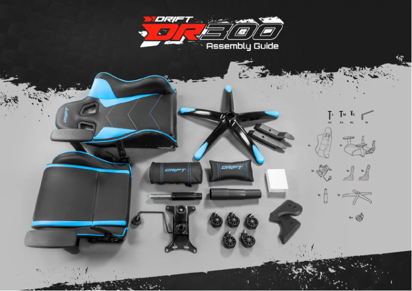 Página 1 del manual Manual de usuario Drift DR300