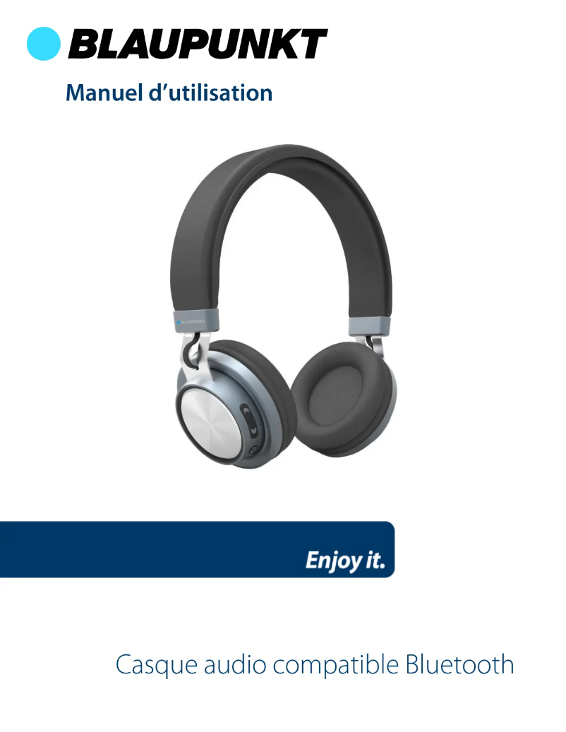 Page n°1 - Manuel utilisateur Blaupunkt BLP4100