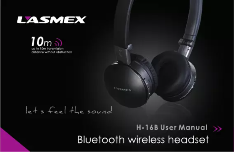 Page 1 de la notice Manuel utilisateur Lasmex H-16B