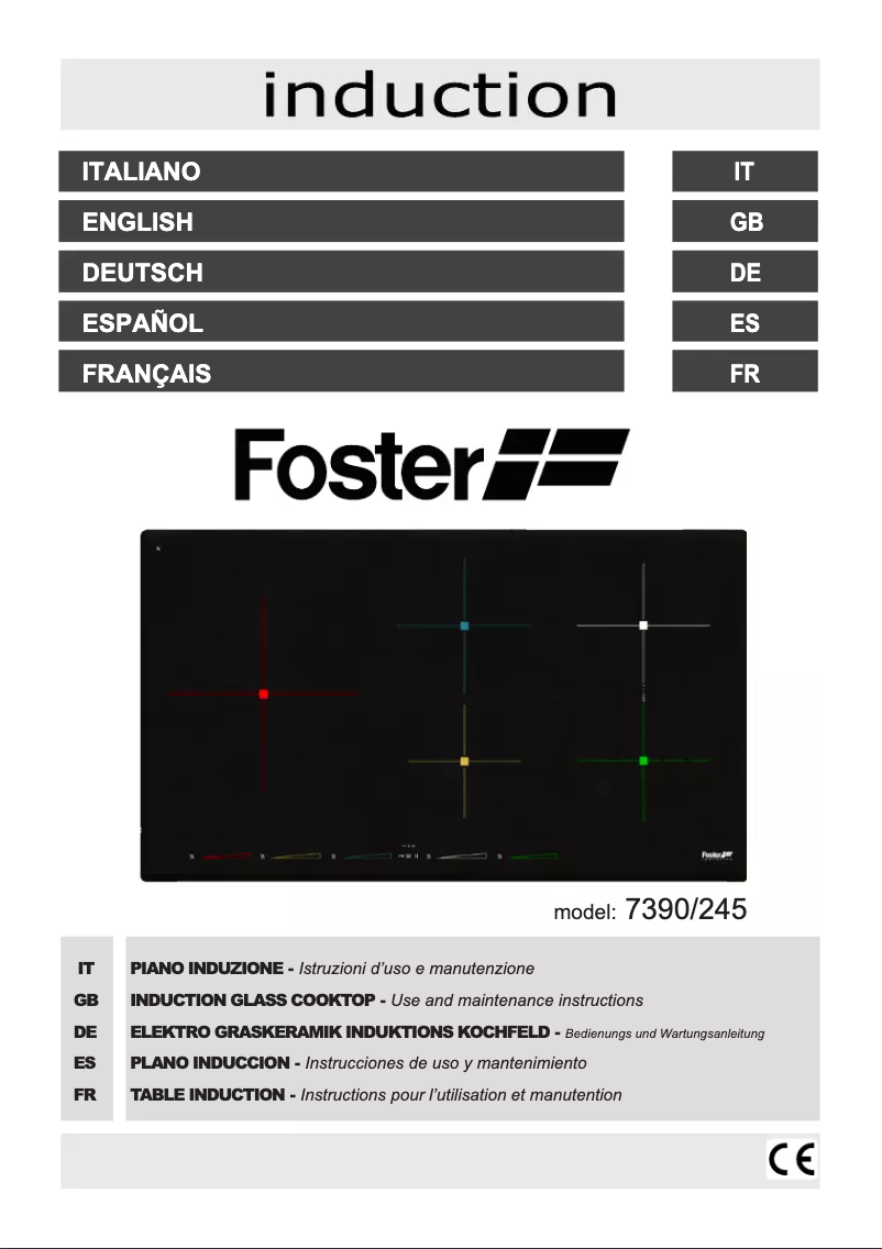 Page n°1 - Manuel utilisateur Foster 3170 000