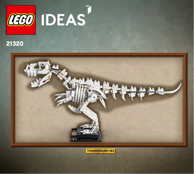 Page 1 de la notice Manuel utilisateur Lego Dinosaur Fossils 21320