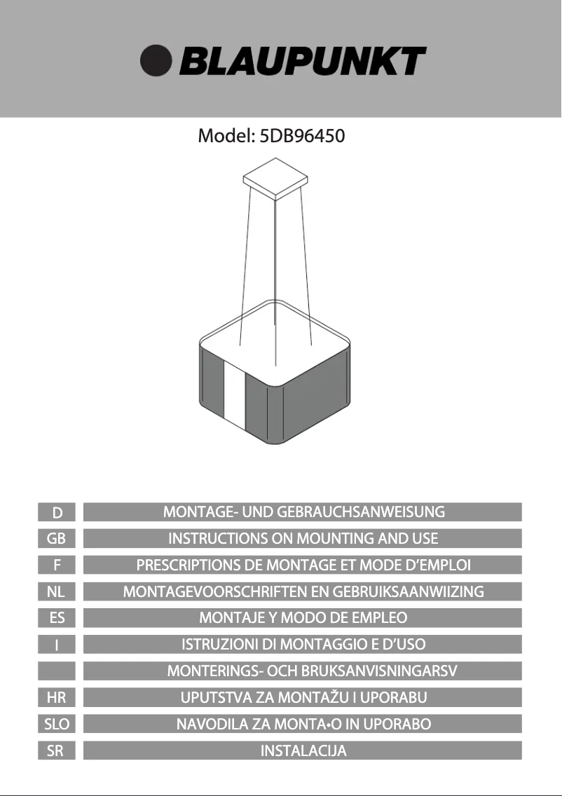 Page 1 de la notice Manuel utilisateur Blaupunkt 5DB96450
