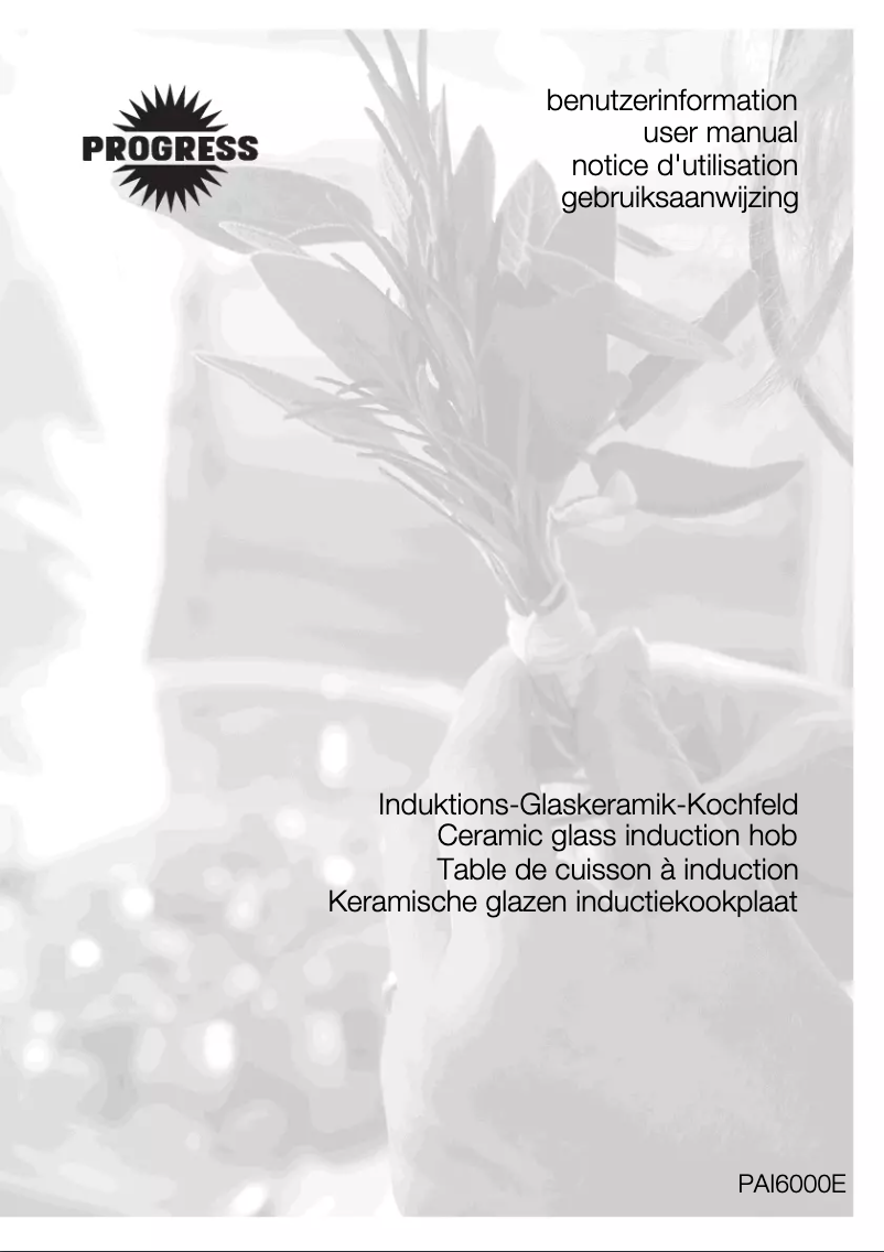Page 1 de la notice Manuel utilisateur Progress PAI6000E