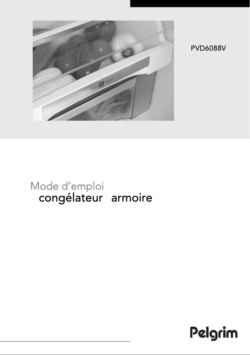Page 1 de la notice Manuel utilisateur Pelgrim PVD6088V