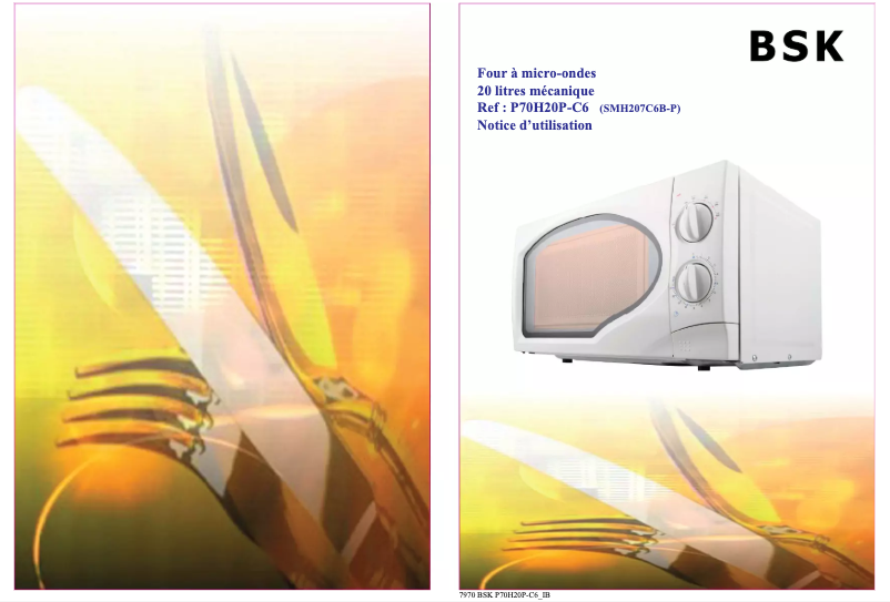 Image de la première page du manuel de l'appareil P70H20P-C6