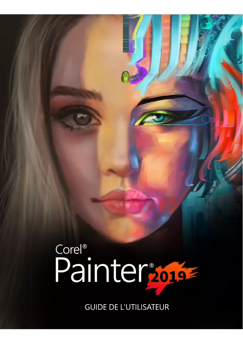 Imagen de la primera página del manual del dispositivo Painter 2019