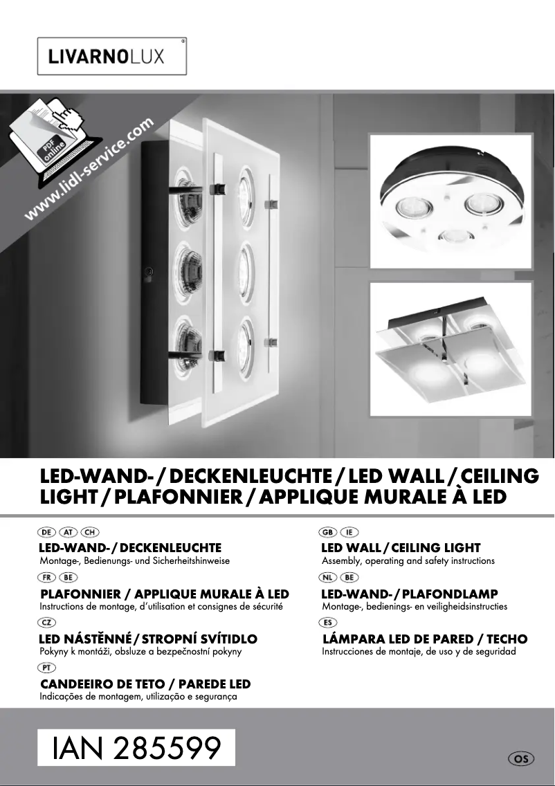 Page 1 of the manual User Manual Livarno Lux IAN 285599