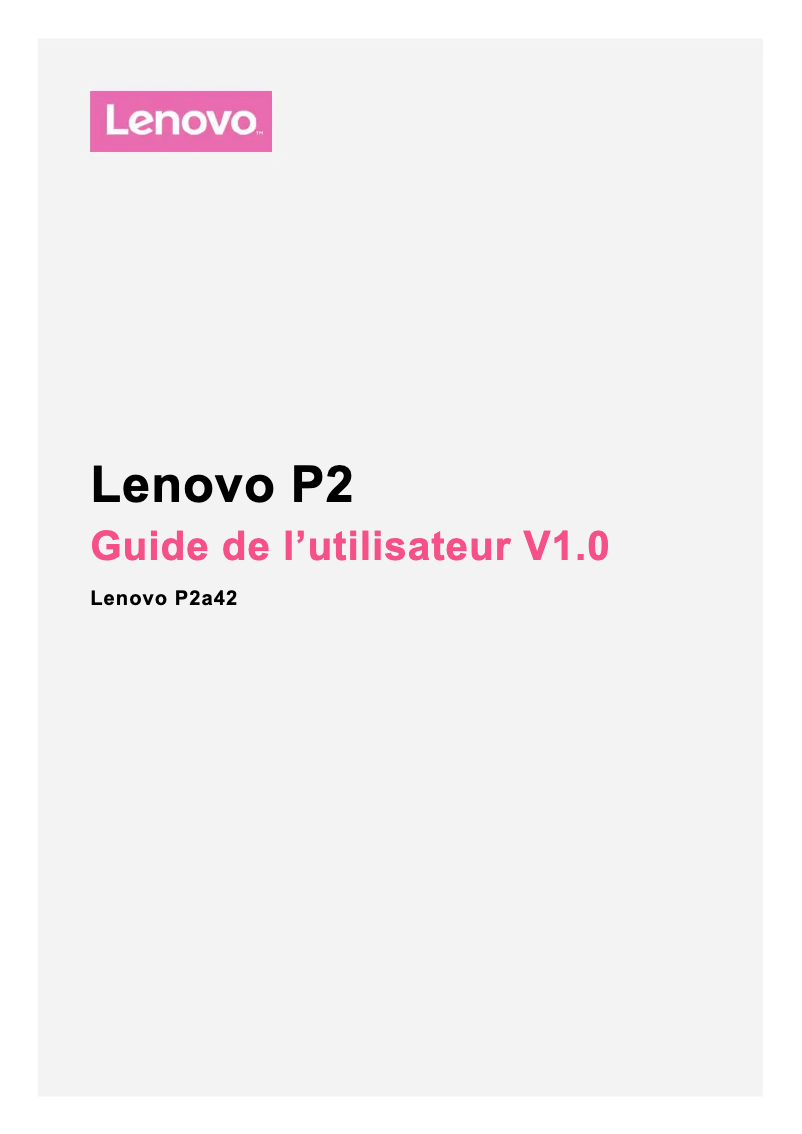 Image de la première page du manuel de l'appareil P2