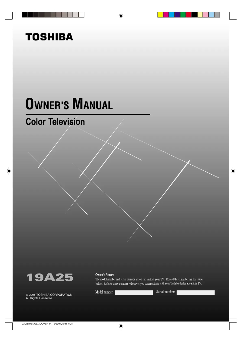 Page n°1 - Manuel utilisateur Toshiba 19A25