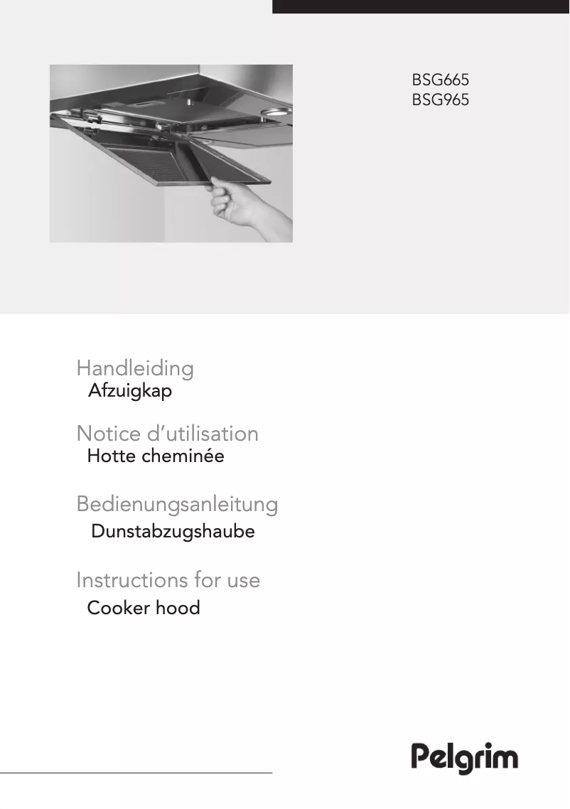 Image de la première page du manuel de l'appareil BSG965MAT