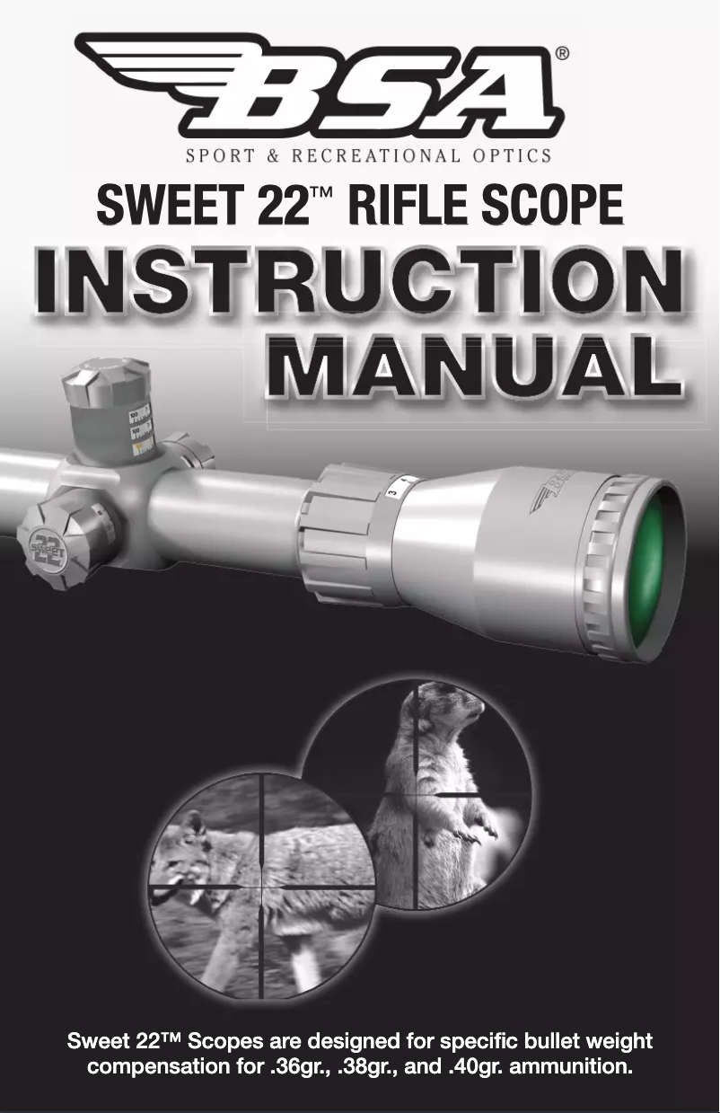 Página 1 del manual Manual de usuario BSA Sweet 22